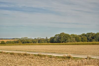 Scenic view of field against sky