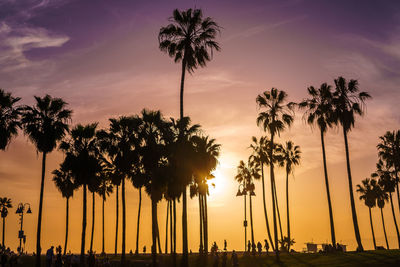 Silhouette palm trees against sky during sunset