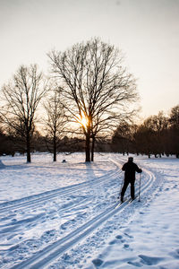 Bare tree on snow covered field against sky