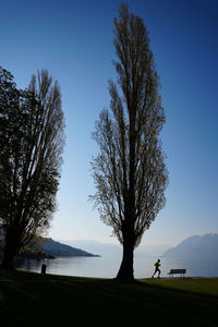 Silhouette tree by sea against clear blue sky