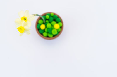 Directly above shot of multi colored candies against white background