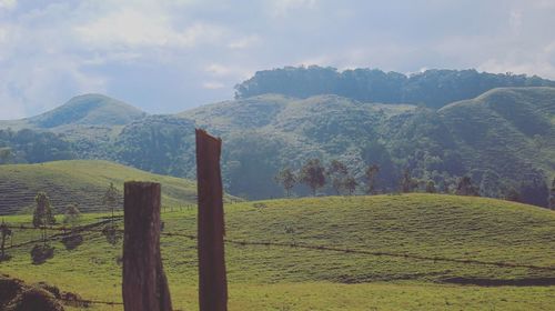 Scenic view of field against sky