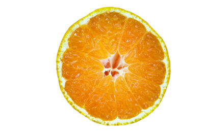 Close-up of orange fruit against white background