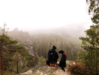 Rear view of dog and woman in forest against sky during autumn