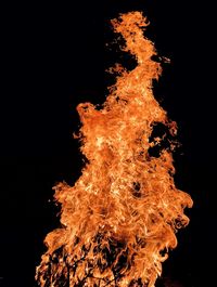 Low angle view of bonfire against black background