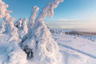 Snow covered landscape against sky