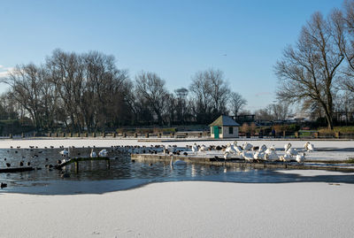 Blue skies and snow at stanley park in blackpool 