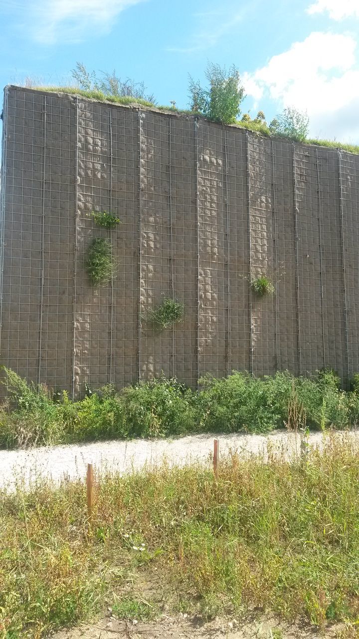 architecture, built structure, building exterior, sky, low angle view, stone wall, wall - building feature, outdoors, day, no people, cloud - sky, brick wall, old, sunlight, grass, building, growth, plant, nature, cloud