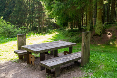 Bench in park