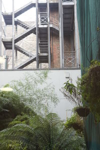 Close-up of plants by window