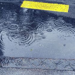 High angle view of puddle on street