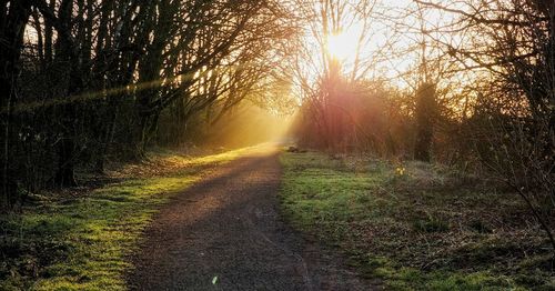 nature
