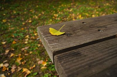Close-up of wooden plank