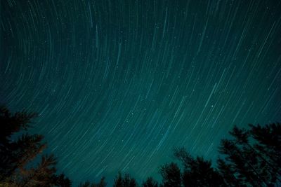 Low angle view of trees against sky at night