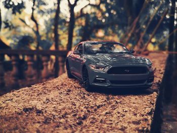 Close-up of toy car on tree trunk