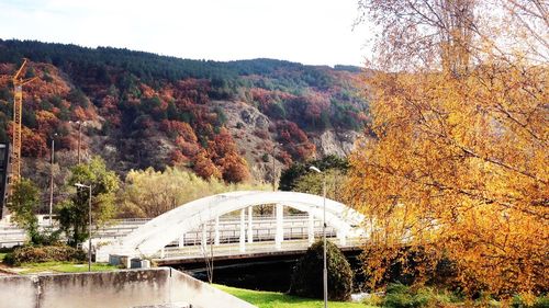 Bridge over river