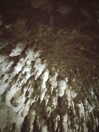 Full frame shot of landscape