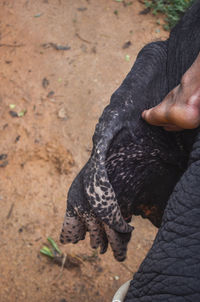 Close-up of person hand on rock