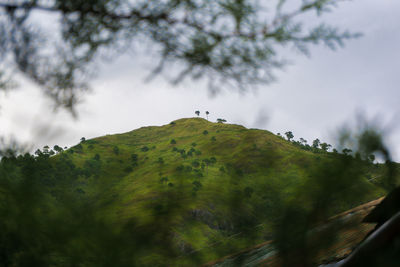 Low angle view of trees and mountains against sky