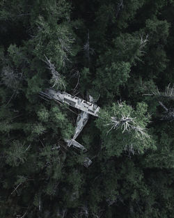 High angle view of cross amidst trees in forest