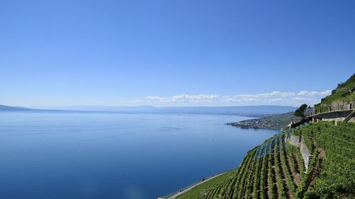 Scenic view of sea against blue sky