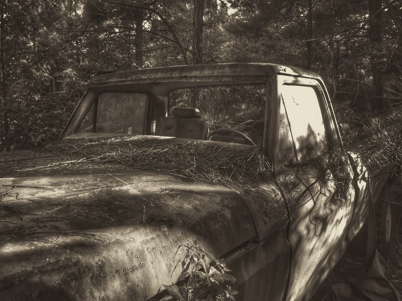 land vehicle, car, transportation, mode of transport, close-up, glass - material, abandoned, obsolete, old, damaged, tree, day, reflection, part of, old-fashioned, outdoors, window, metal, no people, transparent