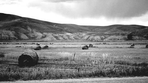 Hay bales on field against sky