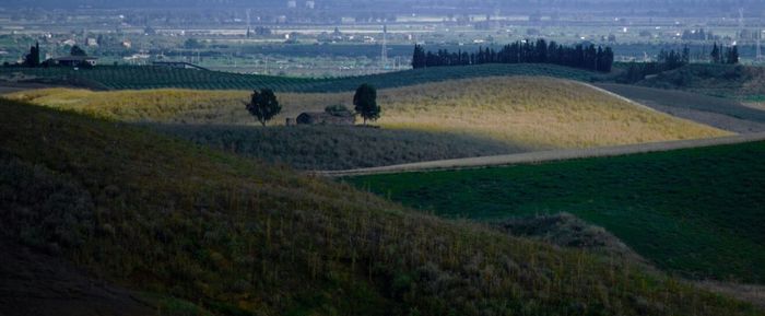 Scenic view of rural landscape