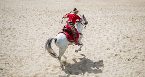 Rear view of man riding horse at beach