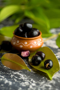 Close-up of black fruits on leaves