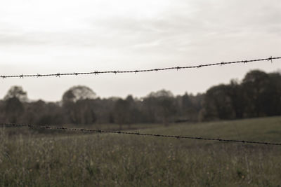 Barbed wire fence on field against sky