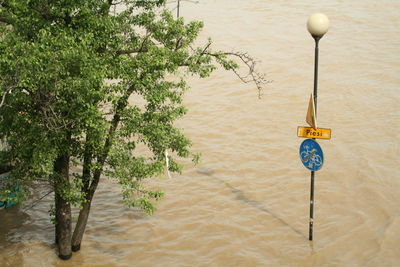 High angle view of trees and road sign in river