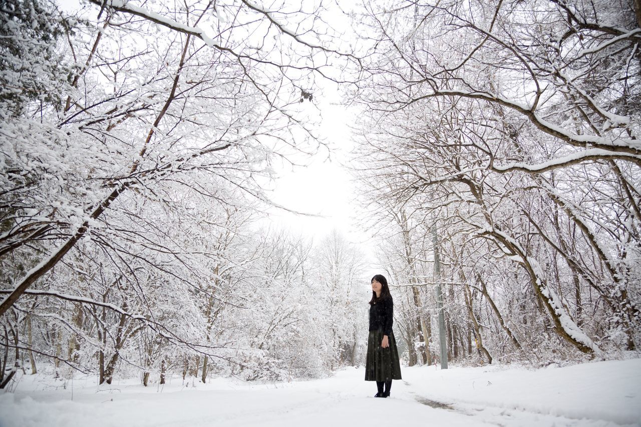 snow, winter, cold temperature, season, weather, tree, rear view, bare tree, covering, full length, warm clothing, lifestyles, walking, leisure activity, tranquil scene, nature, white color, tranquility