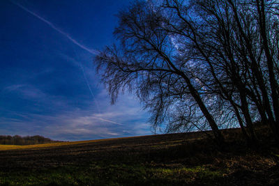 Silhouette trees on field against sky at dusk