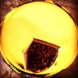 Close-up of yellow flower