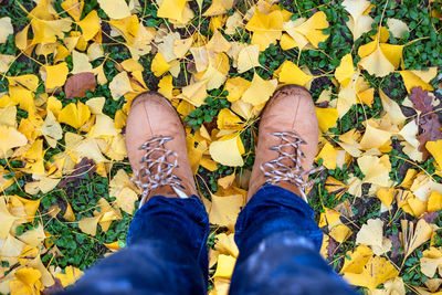 Low section of man standing on yellow leaves