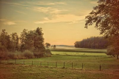 Scenic view of field against cloudy sky