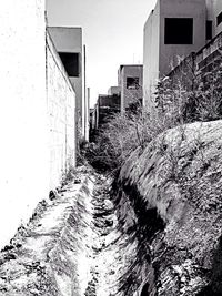 Narrow alley with buildings in background