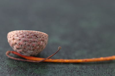 Close-up of fruit on table