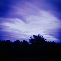 Silhouette of trees against cloudy sky