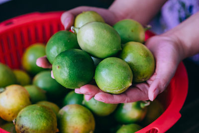 Close-up of hand holding fruits