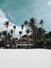 Scenic view of palm trees on field against sky