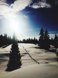 Trees on snow covered landscape against sky