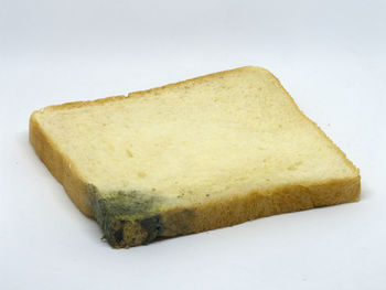 High angle view of bread in plate against white background