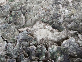 Full frame shot of rocks