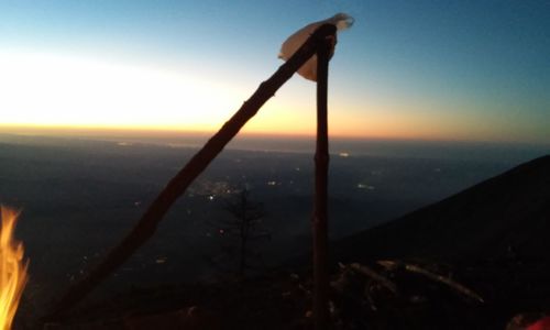 Close-up of landscape against clear sky during sunset