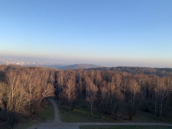 Scenic view of field against clear sky