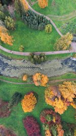 Scenic view of landscape during autumn