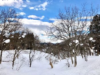 Bare trees on snow covered landscape against sky