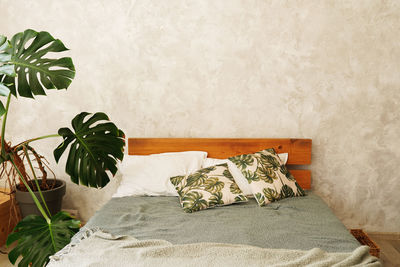Monstera plant near bed in the room, lifestyle 